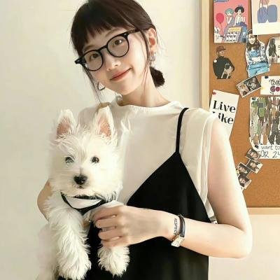 疯狂的狐狸 2024 电影